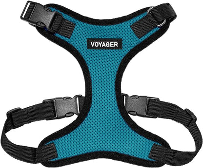 Voyager Step-in Pet Harness - All Weather Mesh, Adjustable Step in Harness for Cats and Dogs by Best Pet Supplies - Turquoise/Black Trim, XS