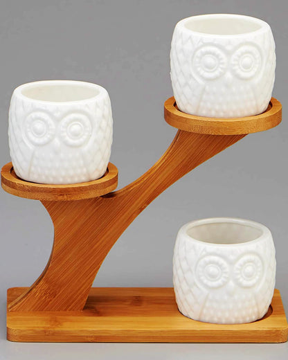 FLOWERPLUS Planter Pots Indoor, 3 Pack 3 Inch White Ceramic Decorative Small Owl Succulent Cactus Flower Plant Pot with Tree Tier Bamboo Stand for Garden Kitchen Home Office Desk Decorations