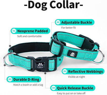 IVY&LANE 2 Pack Reflective Dog Collars and Leashs Set,Adjustable Neoprene Padded Dog Collar for Puppy, Breathable Nylon Pet Collar for Small Medium Large Dogs(Large,Fuchsia+Teal)