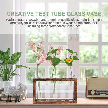 LALAFINA Glass Test Tube Vase Large Hydroponic Planter Container for Water Propagation Indoor Plants Terrarium Home Décor