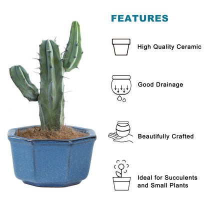 Bonsai Planter Succulent Mini Glazed Pots Value Set of 4, with 4 Soft Mesh Drainage Screens