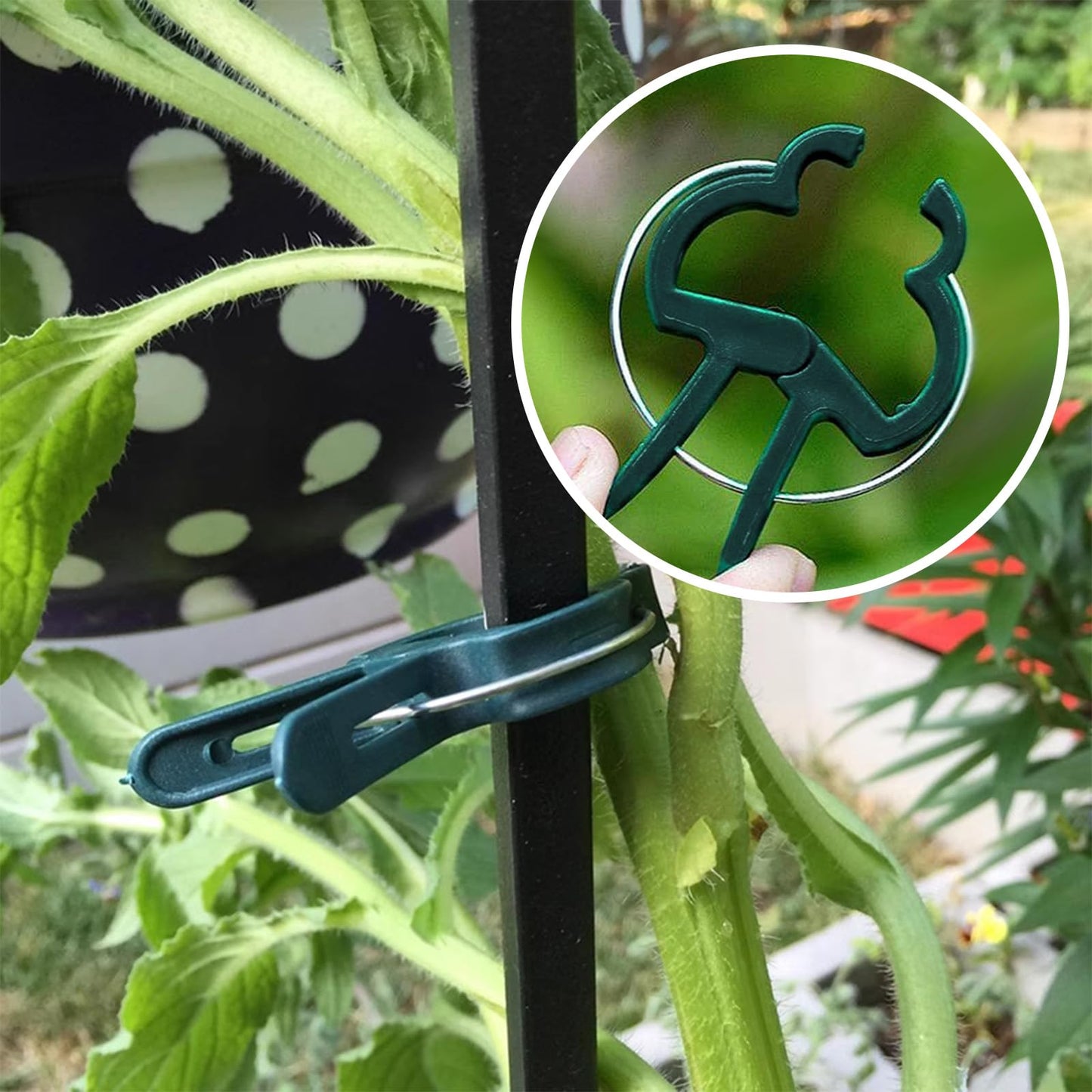 Iniscape A Plant Clamp Used for Climbing Plants,Horticultural Clip Used to Support Climbing of Flower Stems, Vines, Vegetables, and Tomatoes,Vine Clip for Garden Vine Training (Green, 60 small60 Big)