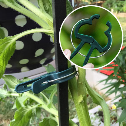 Iniscape A Plant Clamp Used for Climbing Plants,Horticultural Clip Used to Support Climbing of Flower Stems, Vines, Vegetables, and Tomatoes,Vine Clip for Garden Vine Training (Green, 120small)
