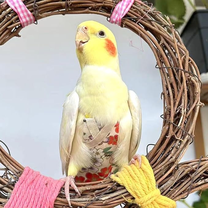 Bird Flight Suits Diapers, Parrot Flight Suits Diapers for Quaker Parakeets Cockatiels Conures Macaw African Grey, Bird Diaper, Parrot Clothes (Pink A,S)