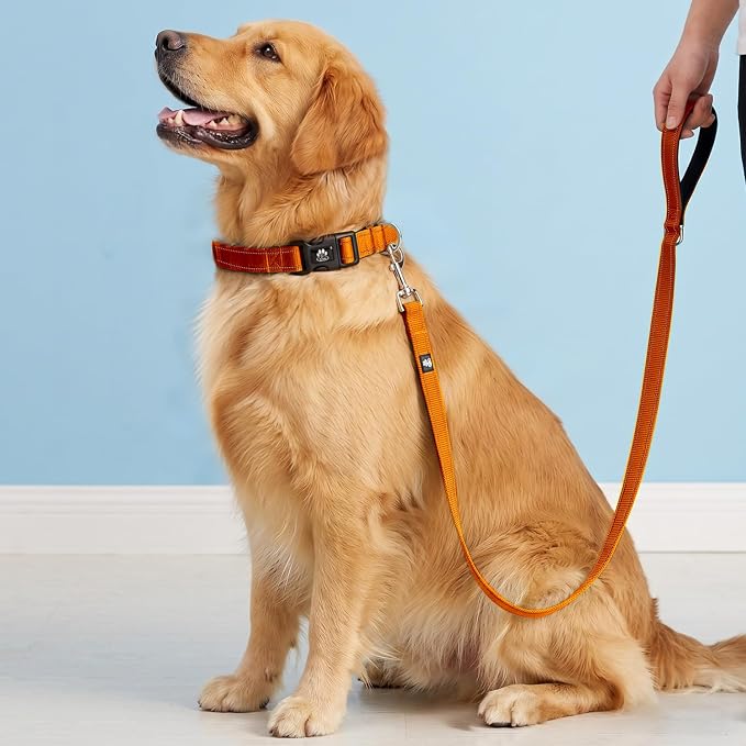FURRYFECTION Reflective Dog Collar and Leash Set with Quick Release Buckle, Padded with Neoprene Adjustable Nylon Dog Collar for Small Medium and Large Dogs (Small Collar+5FT Leash, Orange)