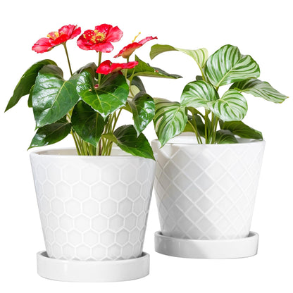 BUYMAX Plant Pots Indoor –6 inch Ceramic Flower Pot with Drainage Hole and Ceramic Tray - Gardening Home Desktop Office Windowsill Decoration Gift, Set of 2(White)