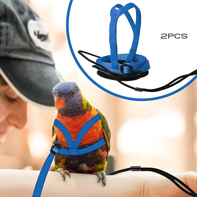 2 pcs Pet Parrot Bird Harness and Leash, Adjustable Training Design Anti-Bite, Outdoor Flying Training Rope Kit for Bird Parrots Fits Birds Chest Between35-62cm /13.78-24.41inch - L (Blue)