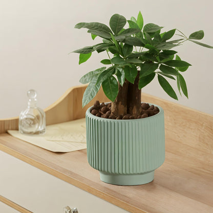 OXART Plant Pots, 8+6+5 Inch Pots for Indoor Plants, Outdoor Indoor Flower Pot with Drainage Holes for Home and Office, Modern Round Ceramic Planters, Set of 3 (Green)