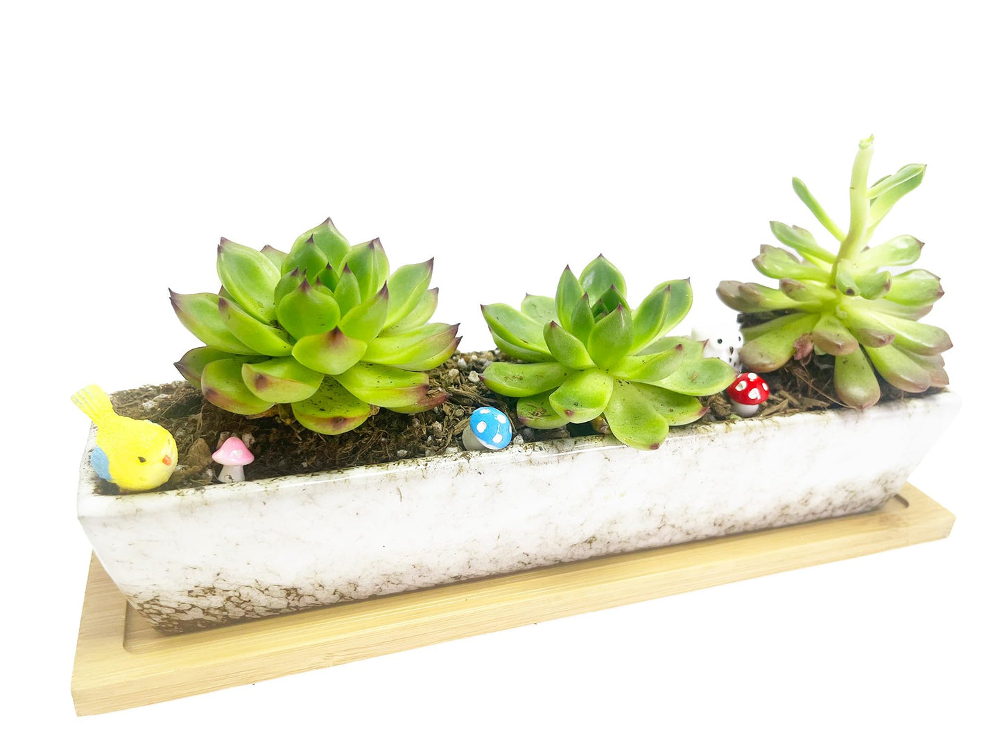 WISH HALLY WOOD 9.8inch White Long Rectangle Ceramic Succulent Planter Pot,one Set of Mini Flower Plant Container with Bamboo Saucers. Product Size:9.8x2.35x1.77 inch,not Include The Plant. (White)