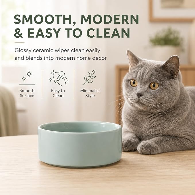 Havniva Cat Bowls Water Bowl Set of Two, 5.1” Ceramic Cat Food and Water Bowl Whisker Friendly Pet Food Bowls for Indoor Cats, Wide Cat Water Dish Prevent Whisker Fatigue Non Slip Cat Feeder