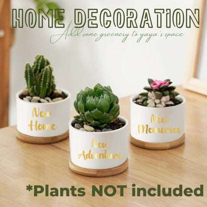 InnoBeta House Warming Gifts Succulent Plant Pots 3pcs, Gifts for House Warming, Planter Pot with Bamboo Tray for New Home, Plants NOT Included