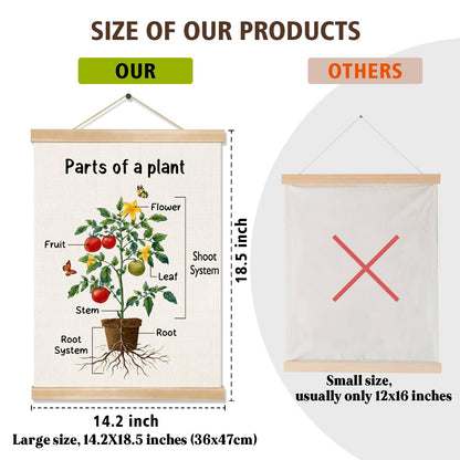 Parts of a Plant Educational Poster,14x18.5 Inch Linen Canvas Wall Botanical Chart Hanging Poster, Science Learning Classroom, Nursery, Homeschool,Kids Room Decoration (Green-Parts of a plant)