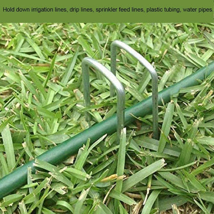 AAGUT 50 Pack 12 Inch Galvanized Garden Landscape Staples Stakes,Garden Staple U-Shaped Pins, Landscaping Staples for Sod Anchoring Landscape Fabric Irrigation Tubing