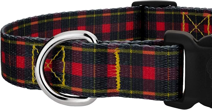 Country Brook Petz - Buffalo Plaid Everyday Dog Collar and Leash - Plaid and Argyle Collection Featuring Charming Designs (1 Inch, Medium)