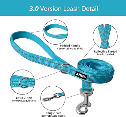 AIITLE Easy Walk Dog Harness and Leash Set - Pet Supply No Pull, Step in Adjustable Dog Harness with Padded Vest, Dog Harness No Choke Over, Easy to Put on Medium Dogs Hot Pink L