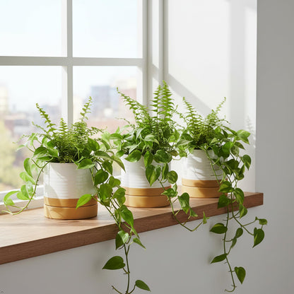 HASENSE 4.6 Inch Plant Pots, Ceramic Flower Pots for Indoor Plants, Small Two-Tone Design Planter with Drainage Hole and Saucer, Cute Windowsill Tabletop Decor, Set of 4, White-Brown