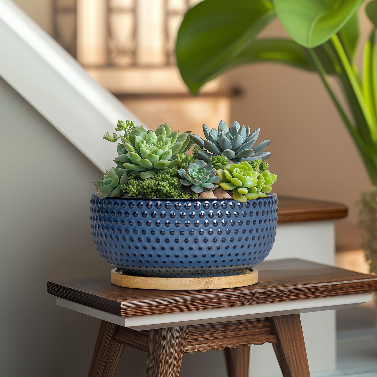 EPFamily Bonsai Pots - 8 Inch Ceramic Pots for Succulent Plants & Bonsai Tree, Planter with Drainage Hole and Saucer, Modern Round Decorative Flower Planters, House Decor, Gifts for Women Man, Blue