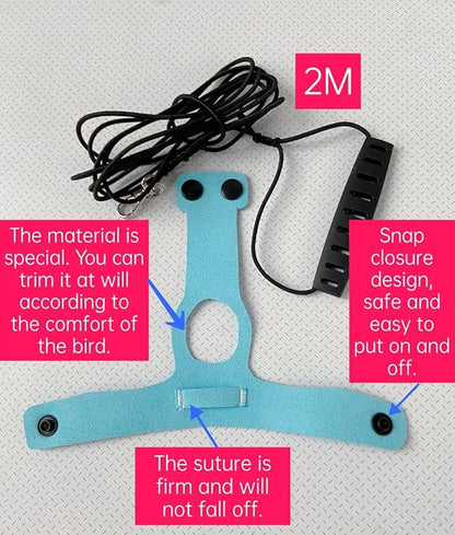 Bird Flight Harness Vest Parrot Flight Suit with Leash for Parakeets Cockatiels Conures Budgies, Bird Flying Clothes with Rope and Handle for Outdoor Activities Training (2M,Blue)