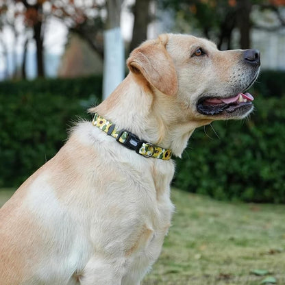 Dog Collar Leash Set, Floral Pattern, 5ft Matching Leash, Polyester Material, 4 for Small Medium Large Dogs.(XS, Sunflower)