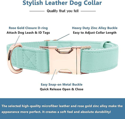 Soft Leather Dog Collar and Leash (6.6') Set - Stylish Rose Gold Heavy Duty Metal Buckle, 4 Adjustable Lengths Leash for Small Medium Large Dogs - Comfortable & Easy to Clean Mint Green L(15.4"-24.8")