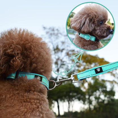 NESTROAD Dog Collar and Leash Set,Reflective Dog Collars with Quick Release Buckle,Adjustable Nylon Pet Collar for Small Medium Large Dogs(Large,Teal)