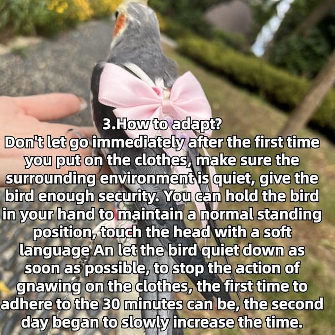 Bird Diaper Parrot Washable Diapers, Parrot Flight Suit, Reusable Nappies for Parakeet Cockatiel Mini Macaw Budgie Conure Lovebird (Red,XS)