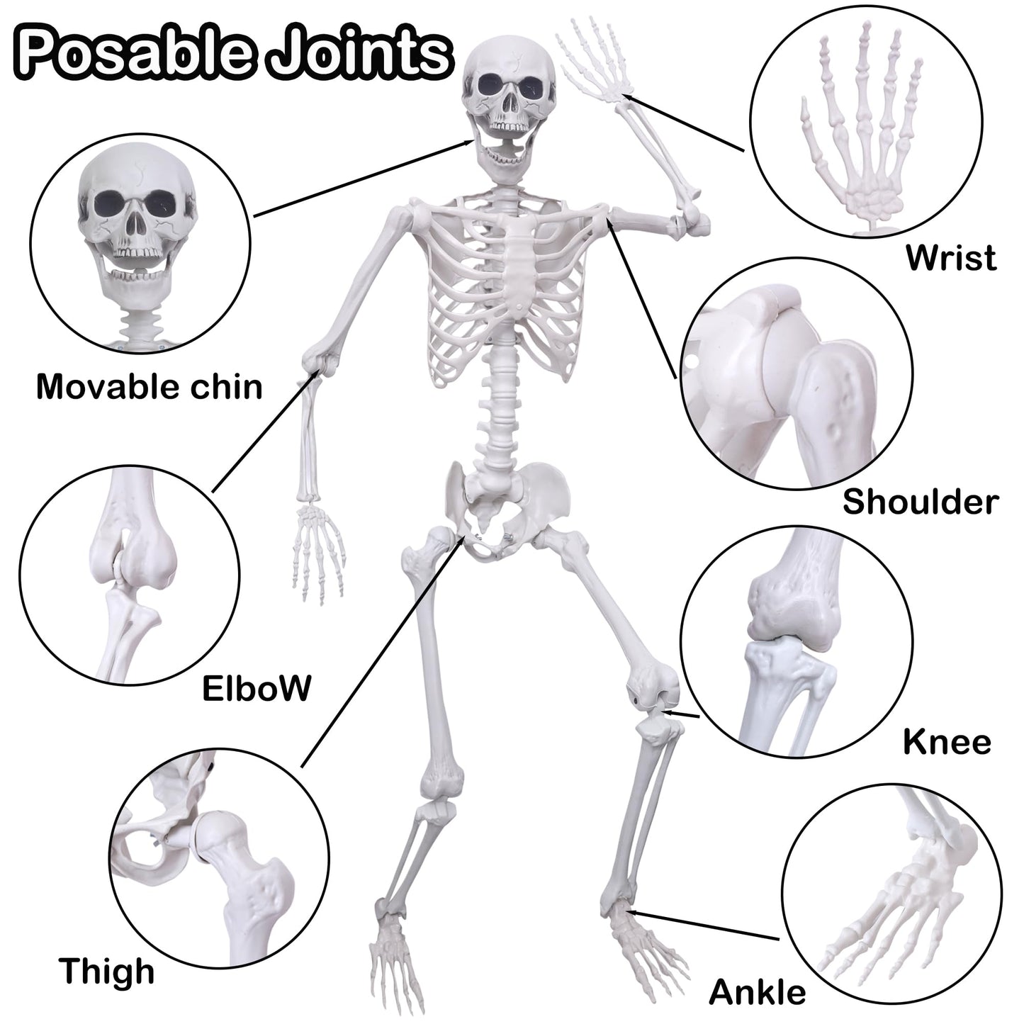 Hibsotco 2Pack 5.4Ft Life Size Skeletons Posable Skeletons Full Size Plastic Human Skeleton with Movable Joint for Halloween Outdoor Indoor Decorations