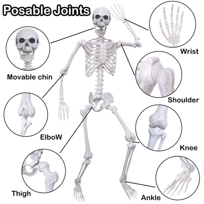Hibsotco 2Pack 5.4Ft Life Size Skeletons Posable Skeletons Full Size Plastic Human Skeleton with Movable Joint for Halloween Outdoor Indoor Decorations