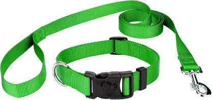 Country Brook Petz - Everyday Nylon Dog Collar and Leash - 10+ Cool Colors (3/8 Inch, 2XS, Hot Lime Green)