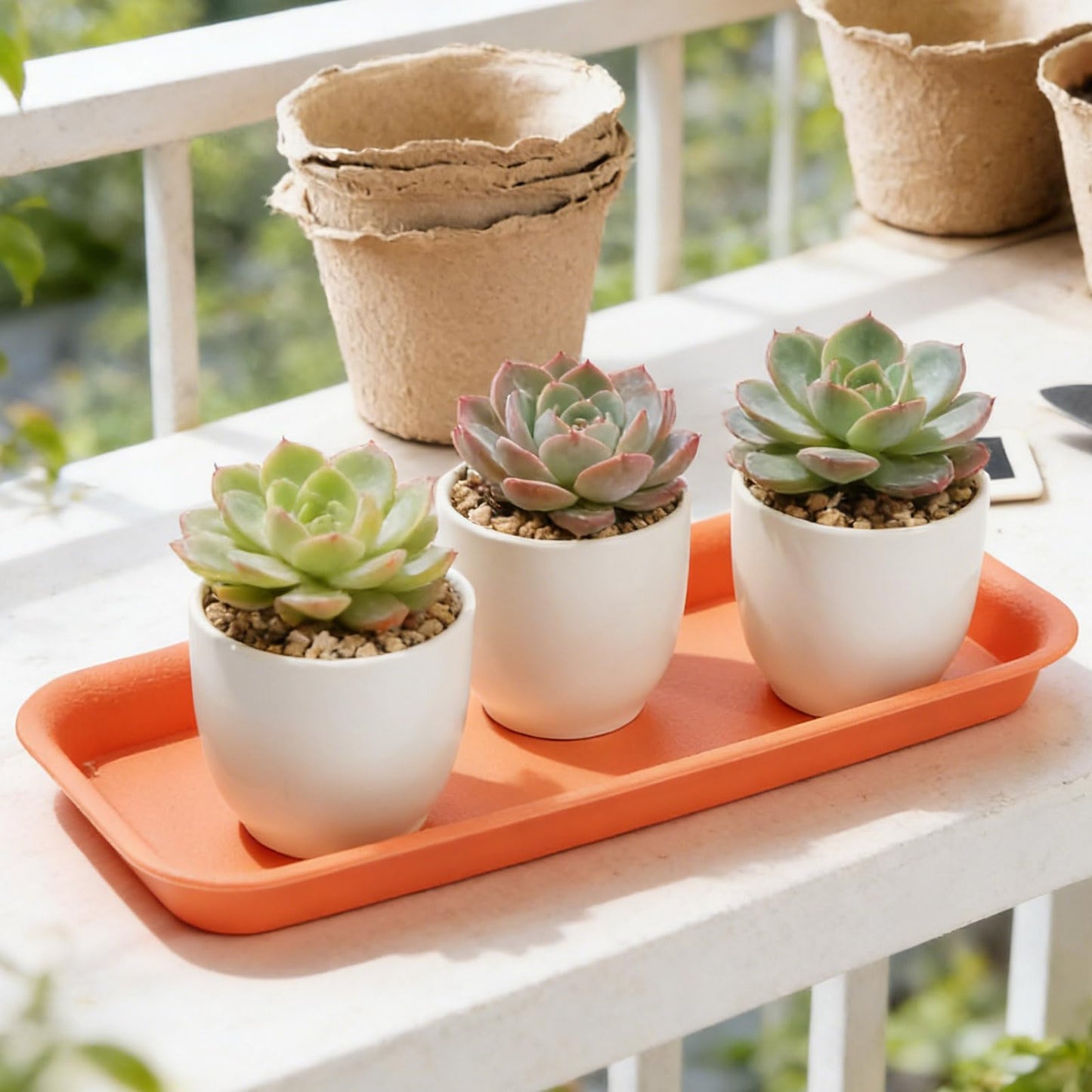 Saihisday 5Pcs Rectangular Plant Tray Terracotta Rectangular Plant Saucer, Plastic Plant Tray Saucer, Rectangular Saucer Pans, Planter Tray Indoors Outdoors Bonsai Pot Service Plate 12 x 5 x 1inch