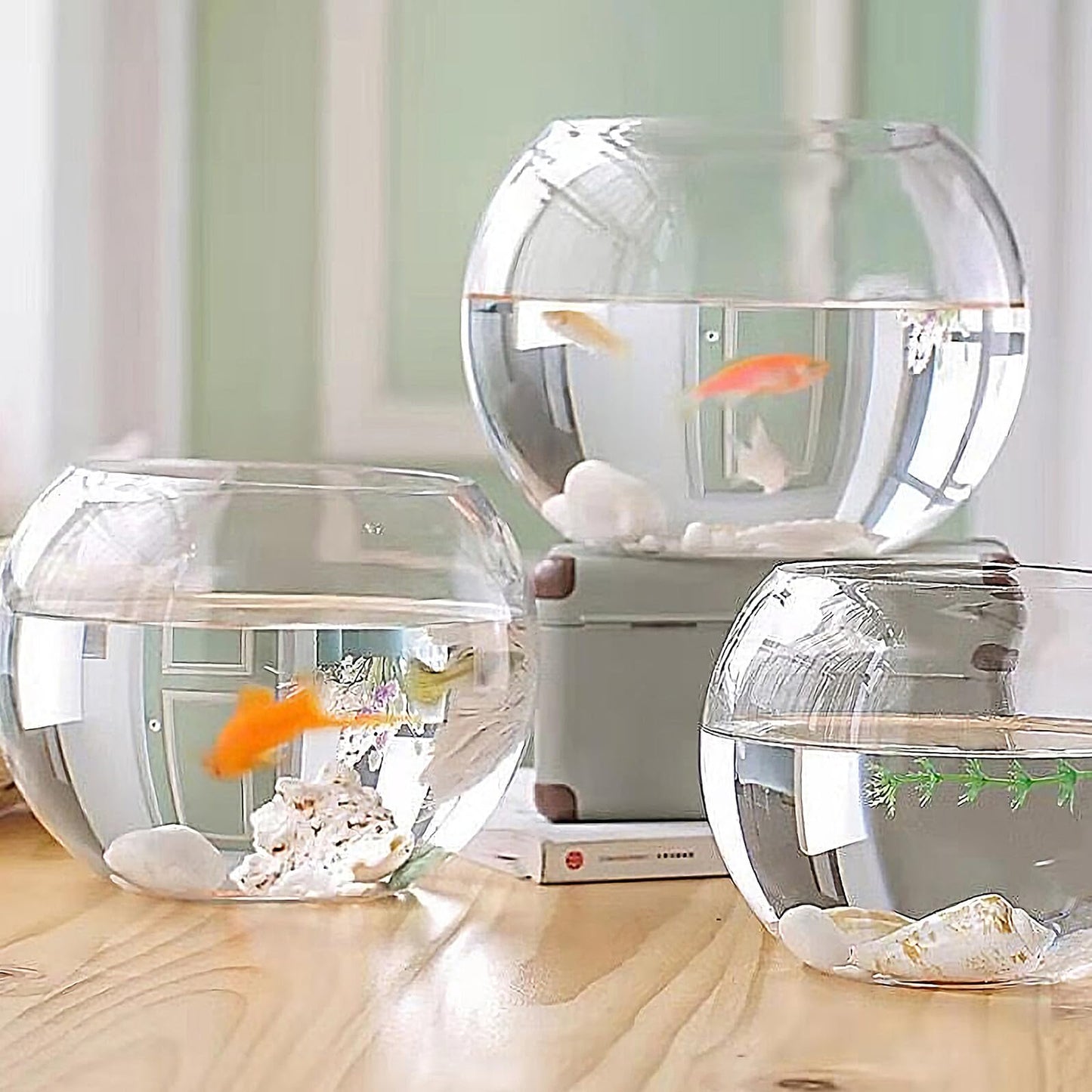 Healeved Glass Hydroponic Plant Vase 20cm Round Fish Tank Terrarium Holder Desktop Flower Pot for Home Office Decor