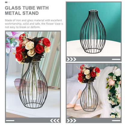Veemoon Geometric Glass Tube Vase with Black Iron Art Frame, Small Hydroponic Plant Holder for Home Décor, Propagation Tubes Terrarium Display