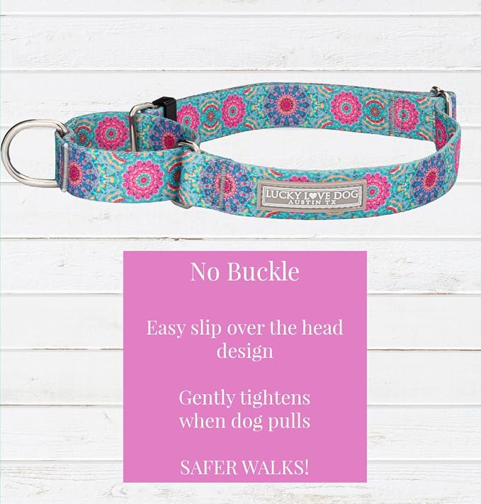 Lucky Love Dog Martingale Dog Collar & Leash - Adjustable, No-Slip, Durable, Comfortable, Soft Webbing, & Stylish Patterned Collar & Leash Set for Male and Female Dogs - Clara Combo, Large