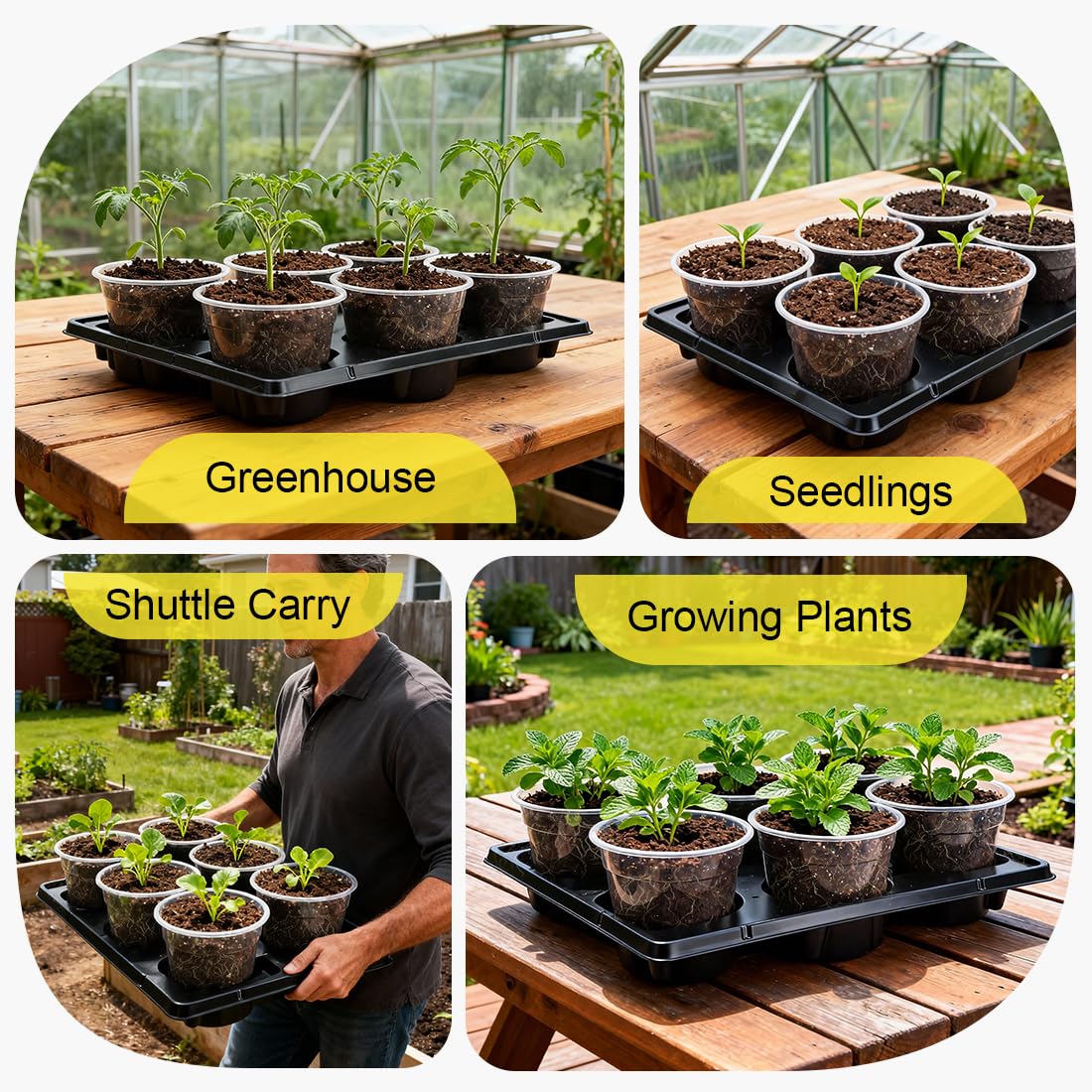 RooTrimmer 30 Pack 6 Inch Clear Nursery Pots and 5 Pack 6 Cell Round Plant Pot Trays, Sturdy Seeds Starting Germination Shuttle Carrying Trays, Planter Nursery Propagation 5 Sets