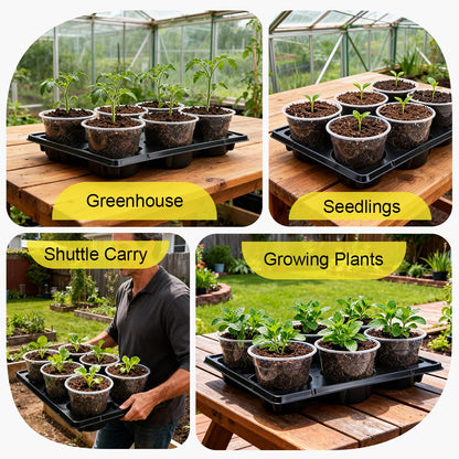 RooTrimmer 30 Pack 6 Inch Clear Nursery Pots and 5 Pack 6 Cell Round Plant Pot Trays, Sturdy Seeds Starting Germination Shuttle Carrying Trays, Planter Nursery Propagation 5 Sets
