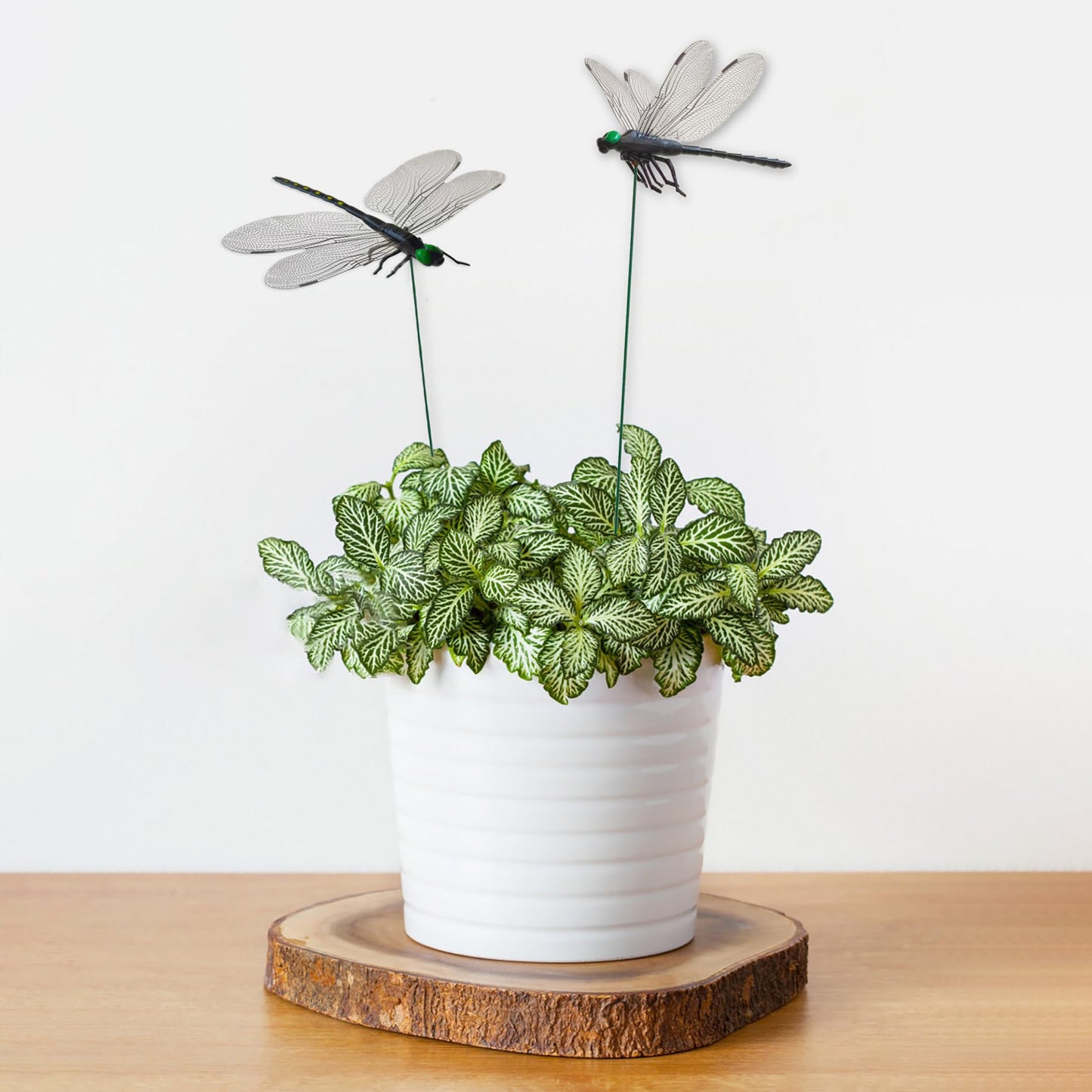 Lidengle 10 Pcs Dragonfly Decorative Stakes, Lifelike 3D Big Dragonflies PVC Dragon Fly Garden Stake for Indoor Outdoor Yard Balcony Plant Flower Pot Decor (Black)