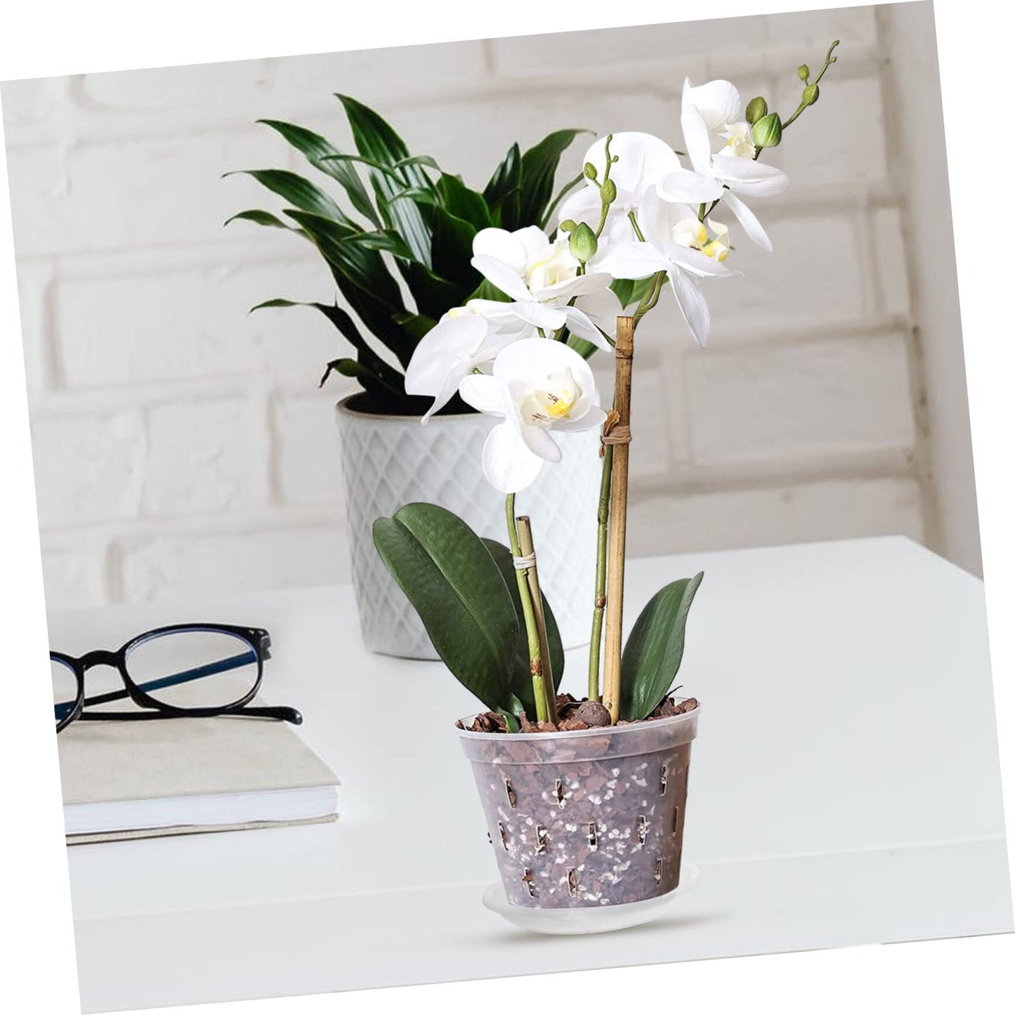 YARNOW 1 Set Phalaenopsis Hard Planting Cup Flower Pots Indoor Pots for Succulents Green Decor Orchid with Holes 8 Inch Slotted Orchids Planter Flower Plant Container Plant Cups Food