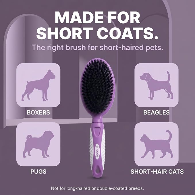 Soft Bristle Dog Brush For Short Haired Cats Or Dogs - Firm Bristles To Remove Dust, Dirt, And Loose Fur - Hook And Rubber Handle