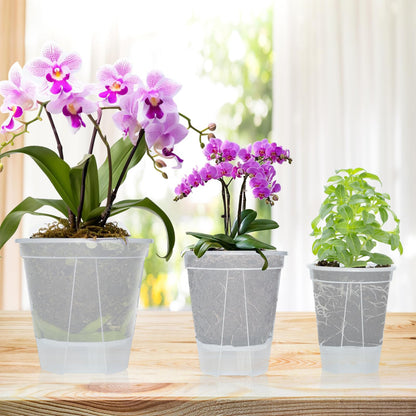 Cdd's Path 6-Pack Bare Root Planter Self Watering Pots Set with Holes for Indoor/Outdoor Plants, 2 Each of 5, 6 and 7 Inch Planter Pot with Watering Hole/Reservoir and Air Pipes, Clear