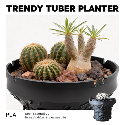 Dak Haan Succulent Pot with Drainage – Indoor Plant Pots, Artistic Design Flower Pots,Personalized Custom Mothers Day Plant Pot, ShallowSucculents Pots Bowls for Home, Office, Weddings & Party Décor