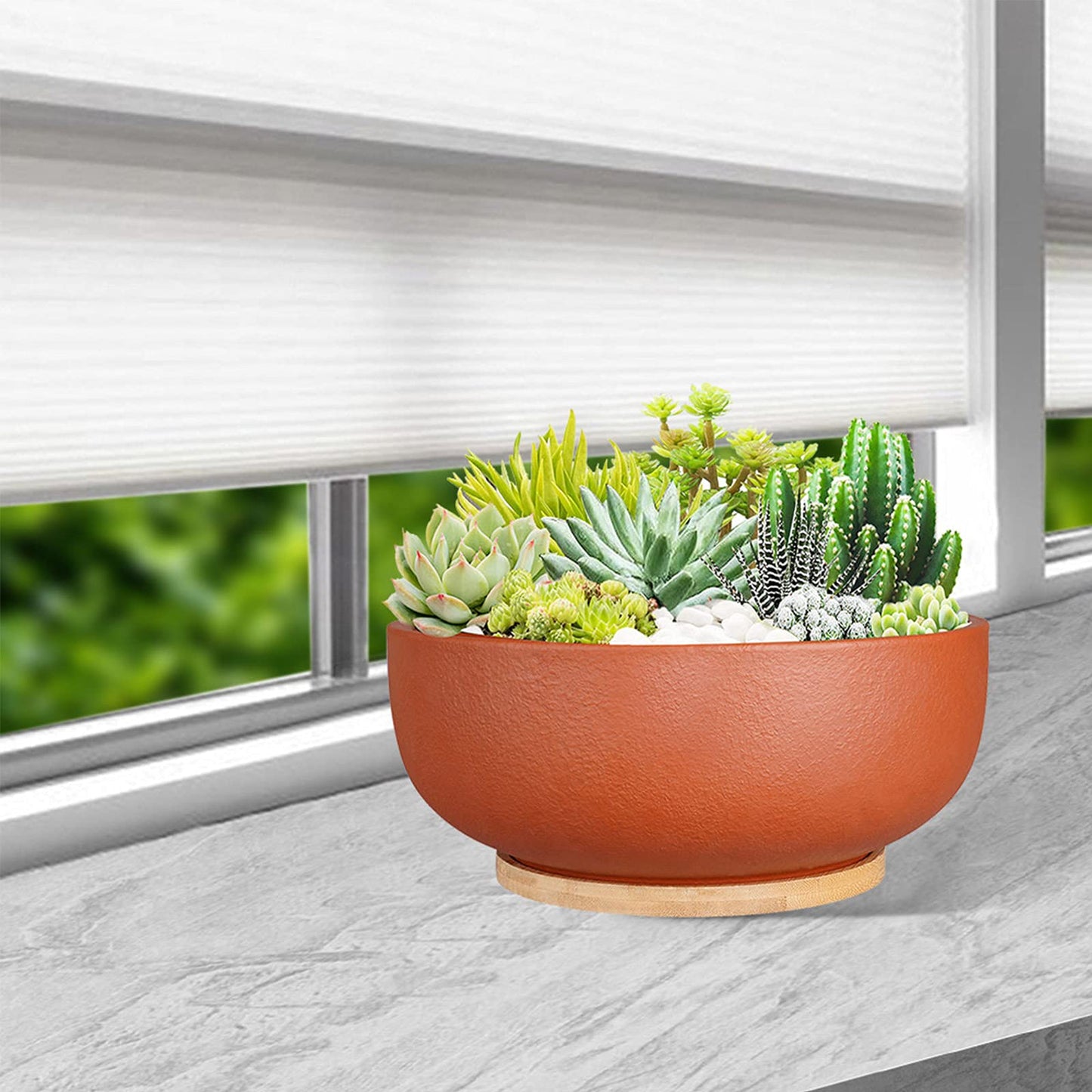 SQOWL 10 Inch Large Terracotta Planter Pot,Clay Succulent Bonsai Planter with Drainage Hole and Bamboo Saucer for Indoor Plants