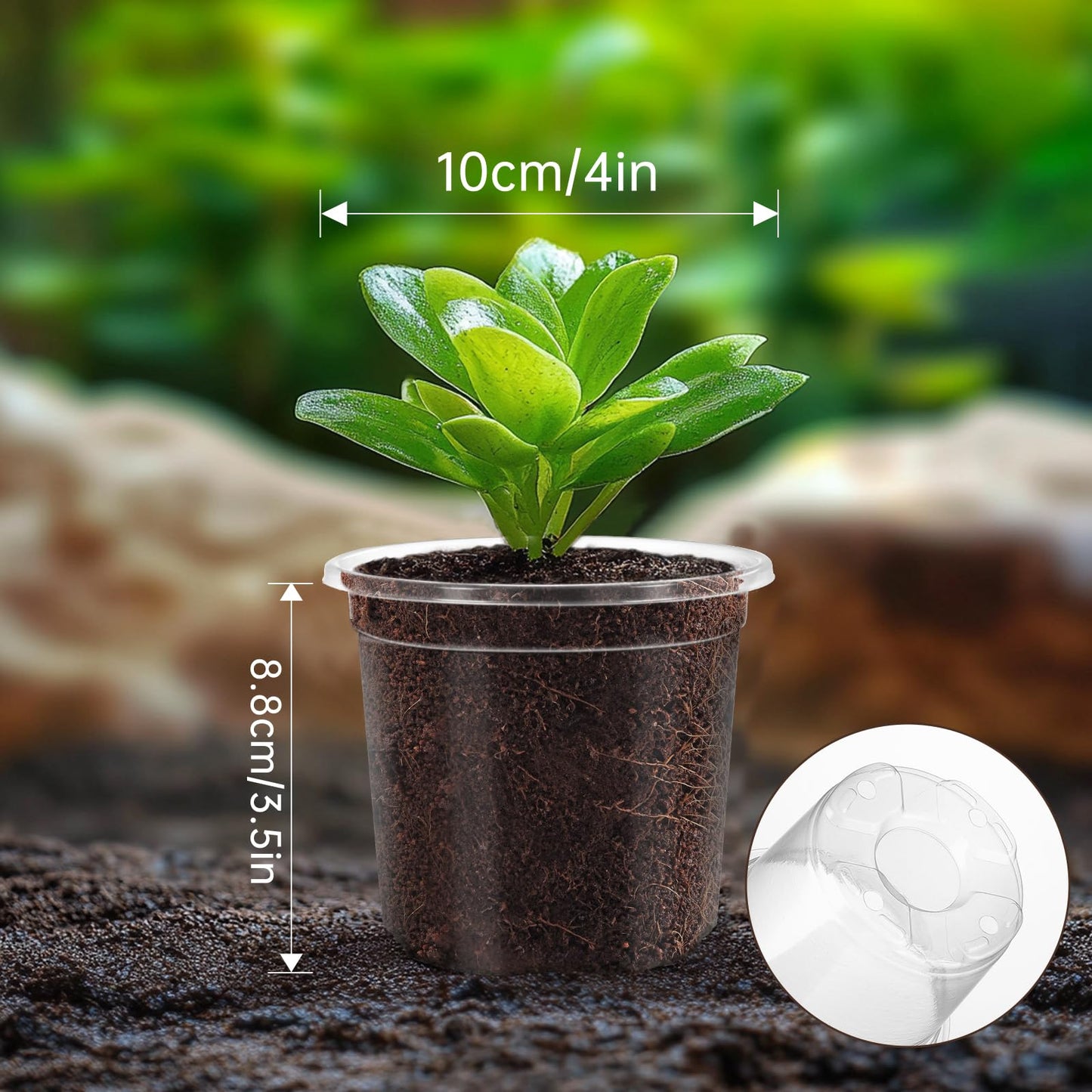 WandaQueen 30 Packs 4 Inch Reinforced Clear Nursery Pots for Plants with Drainage Holes, High Transparency Plastic Seedling Plant Pot with Drainage Holes Have 20 Labels