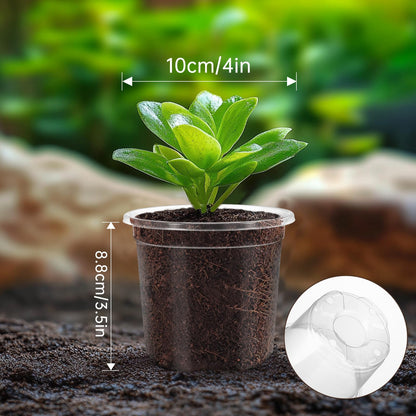 WandaQueen 30 Packs 4 Inch Reinforced Clear Nursery Pots for Plants with Drainage Holes, High Transparency Plastic Seedling Plant Pot with Drainage Holes Have 20 Labels