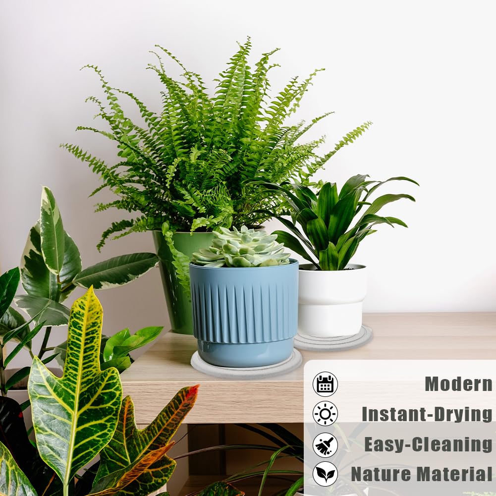 2PCS 8Inch Diatomaceous Earth Plant Trays, Jaxbo Plant Water Absorbent Trays, Plant Trays for Pots, Stone Quick Drying Tray Plant Plates to Catch Water Indoor Plants and Absorbent