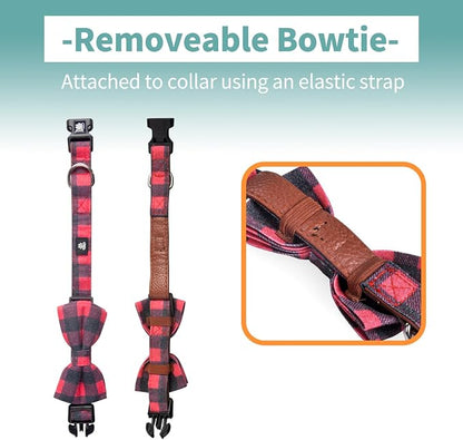 IVY&LANE Dog Collar with Bowtie and Leash Set | Plaid Adjustable Dog Collar | Detachable Bow Tie |5 FT Dog Leash | for Small Medium Large Dogs | Checkered Red | Medium