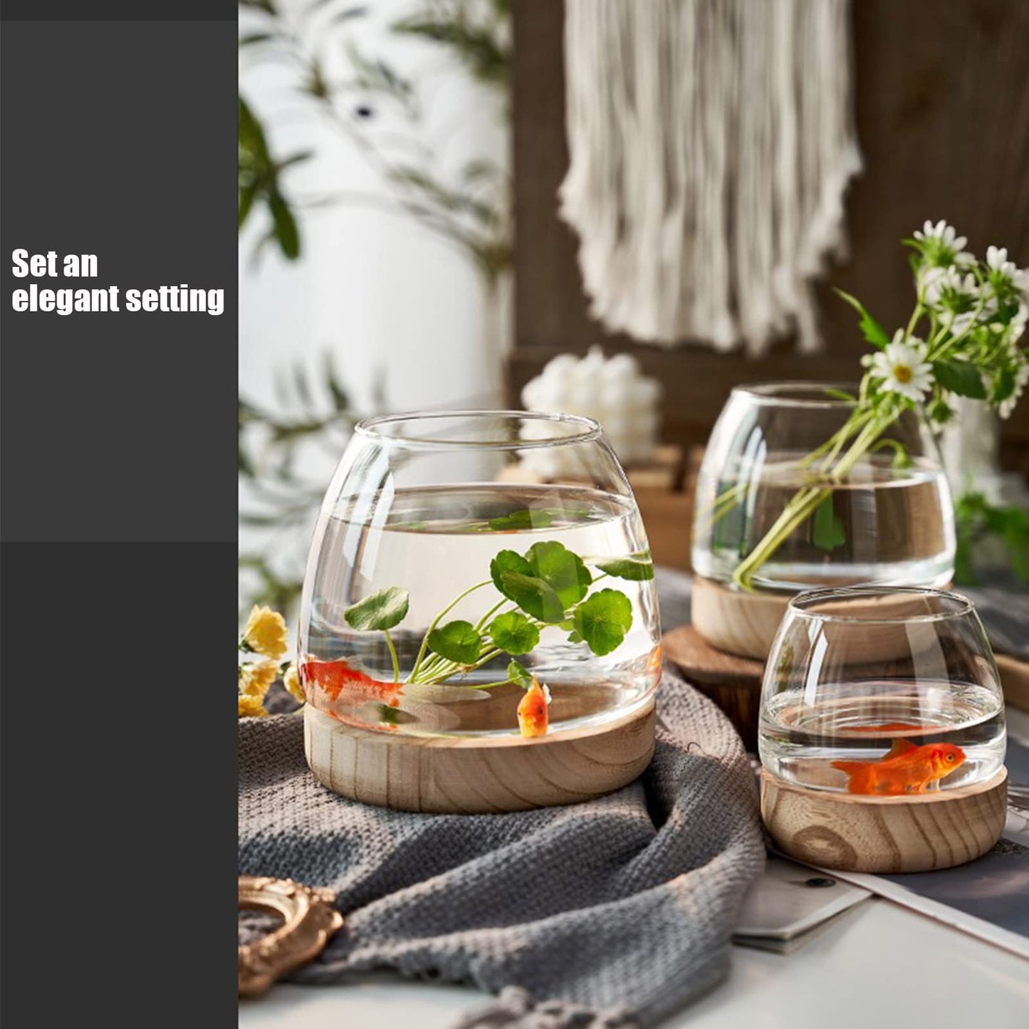 DCQRY Clear Glass Bubble Bowl Glass Planter Hydroponic Plant Vase with Detachable Wood Base Unique Fish Tanks Glass Terrarium Container Pot for Hydroponic Plants Home Garden Decor