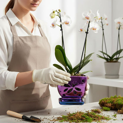 Grdthzey Orchid Pots with Holes Square Ceramic Orchid Planter Pots 5.5 inch (Purple)