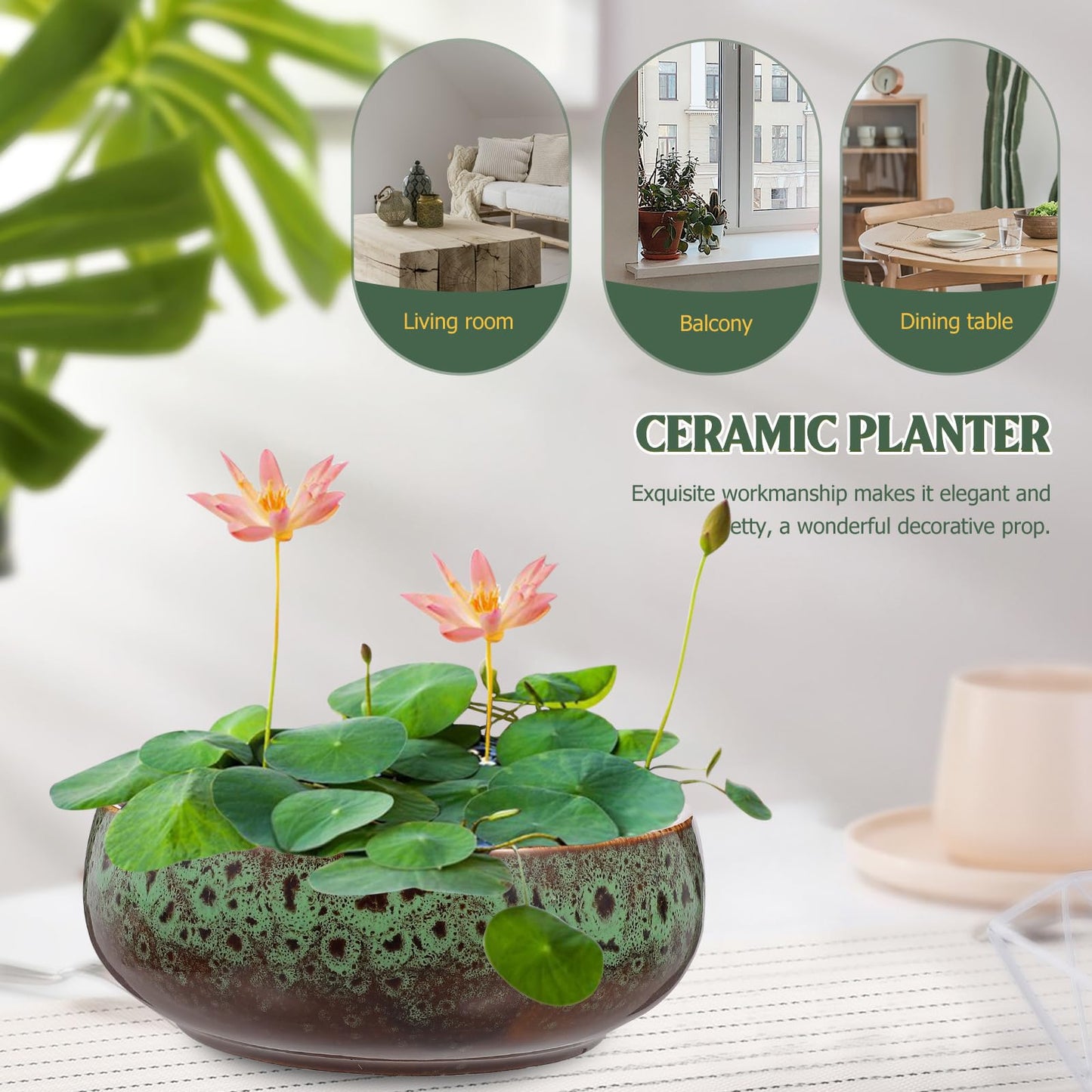 Happyyami Hydroponic Water Planter Pot Ceramic Succulent Bonsai Pot Water Lily Narcissus Planting Bowl Flowerpot Container Garden Decoration ( Style b )