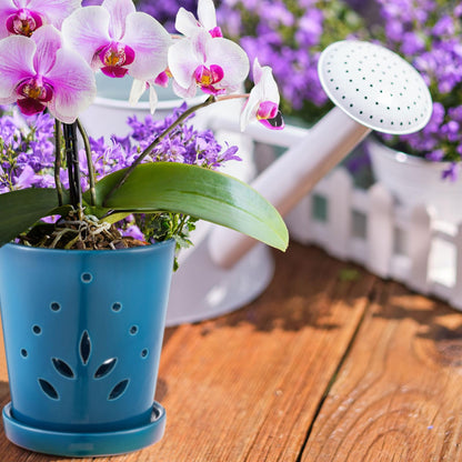 Suclain 2 Pack Orchid Pots with Holes Ceramic Orchid Planters with Drainage Holes and Tray for Root Health Repotting New Plants Air Circulation Indoor/Outdoor Flower Pots(6.5 Inch,Blue)