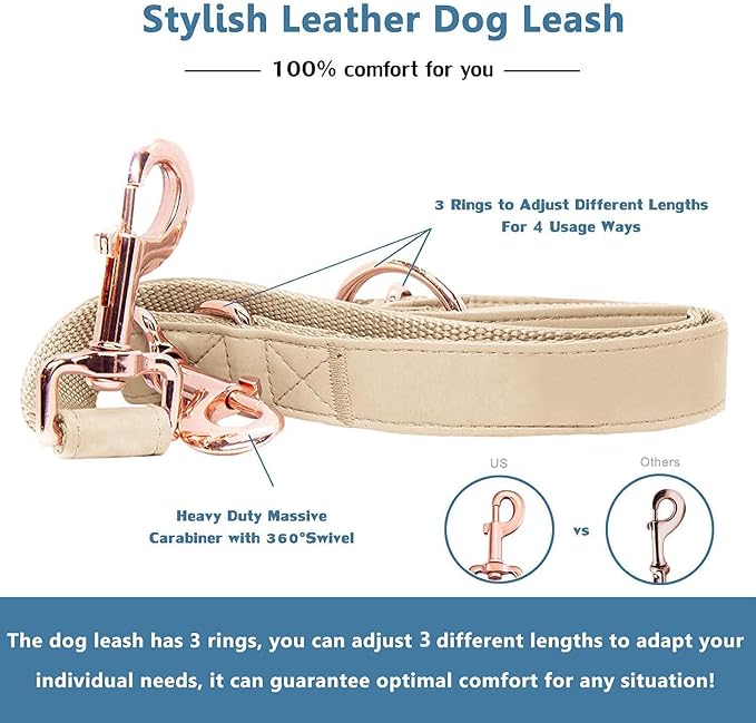 Soft Leather Dog Collar and Leash (6.6') Set - Stylish Rose Gold Heavy Duty Metal Buckle, 4 Adjustable Lengths Leash for Small Medium Large Dogs - Comfortable & Easy to Clean Beige M(13.8"-19.7")